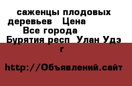 саженцы плодовых деревьев › Цена ­ 6 080 - Все города  »    . Бурятия респ.,Улан-Удэ г.